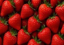 fresas